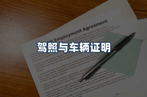 车辆证明展示