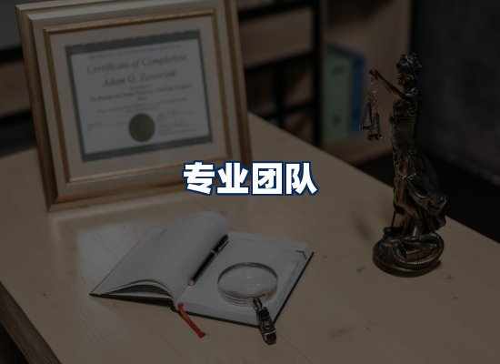专业团队